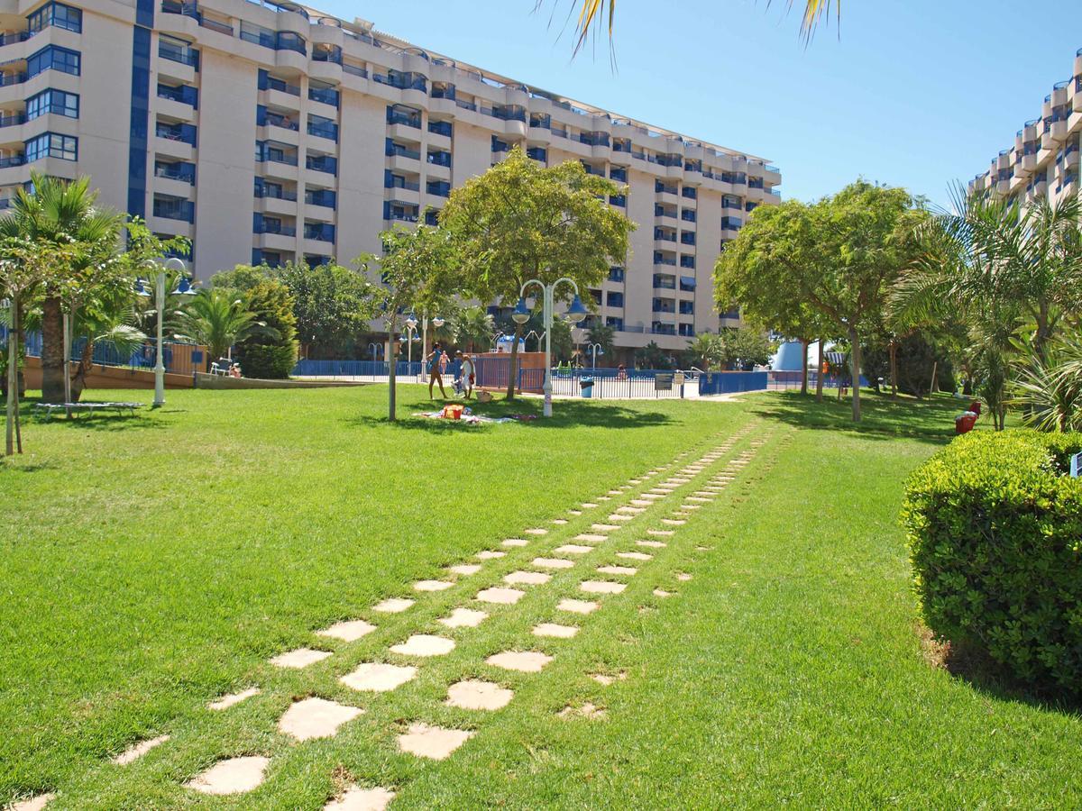 Apartup Patacona Orchard Views Βαλένθια Εξωτερικό φωτογραφία